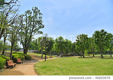 Ibaraki Prefecture Tsukuba City Takezono Takezono Park Ibaraki Prefecture Tsukuba City Takezono Takezono Park 48883676