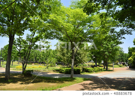 Ibaraki Prefecture Tsukuba City Takezono Takezono Park 48883678