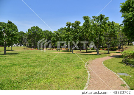 Ibaraki Prefecture Tsukuba City Takezono Takezono Park Ibaraki Prefecture Tsukuba City Takezono Takezono Park 48883702