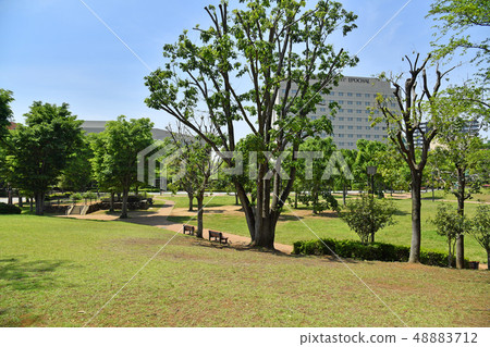 Ibaraki Prefecture Tsukuba City Takezono Takezono Park 48883712