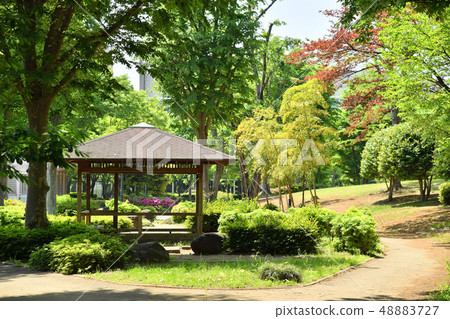 Ibaraki Prefecture Tsukuba City Takezono Takezono Park 48883727