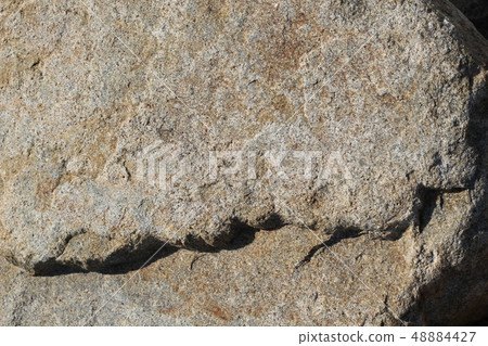 Rough rough skin 48884427