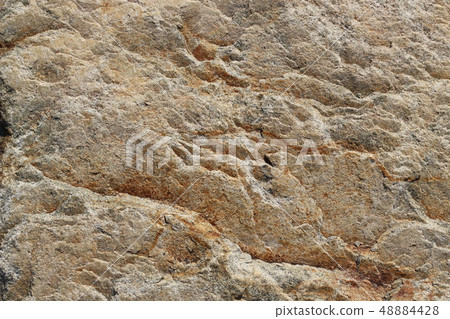 Rough rough skin 48884428