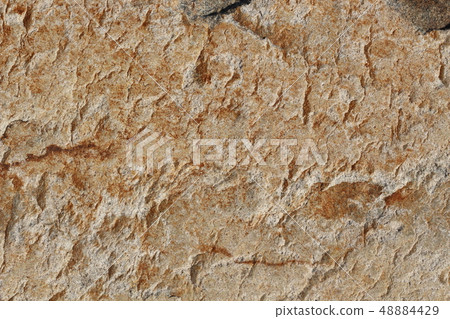 Rough rough skin Rough rough skin 48884429