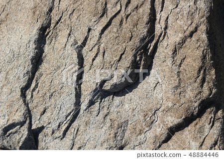 Rough rough skin Rough rough skin 48884446