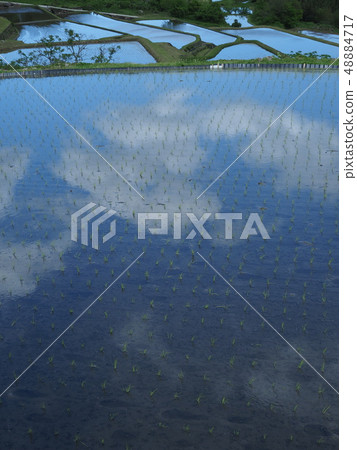 Beautiful scenery 3 that blue sky moves to terraced rice fields Beautiful scenery 3 that blue sky moves to terraced rice fields 48884717