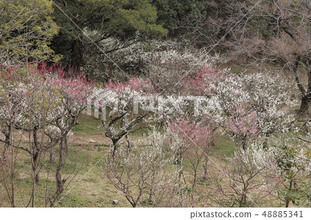Hisashi Oshimori 48885341