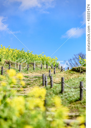 Kobe General Sports Park 48885474