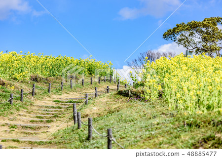 Kobe General Sports Park 48885477