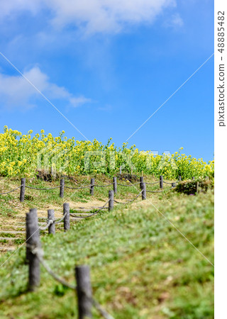 Kobe General Sports Park 48885482