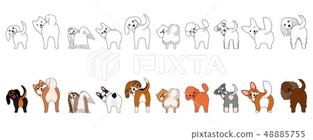 驢導向的狗集小狗 48885755