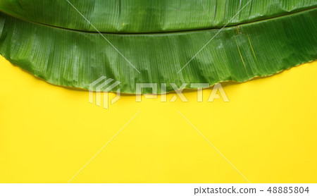 Thai green banana leaf as base for food. Top view 48885804