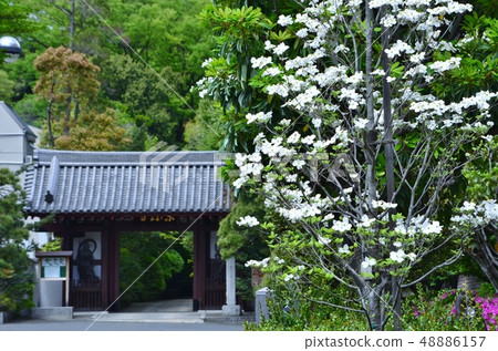 Touzenji Takanawa Touzenji Takanawa 48886157