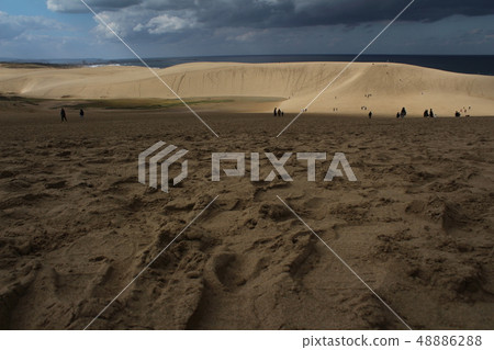 鳥取沙丘 鳥取沙丘 48886288