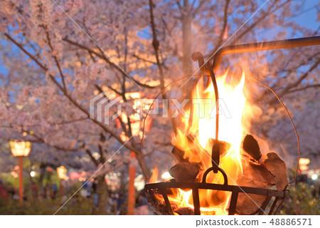 篝火和櫻花點亮 篝火和櫻花點亮 48886571