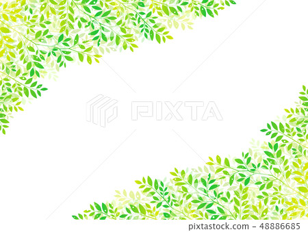 樹上新鮮綠葉的清爽圖像 48886685