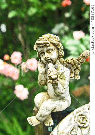 Rose flower garden and angel statue 48887163