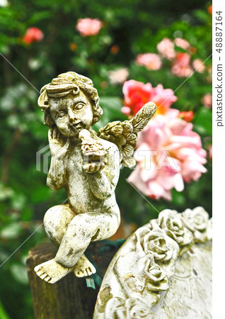 Rose flower garden and angel statue 48887164