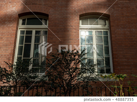 Museum window 48887355