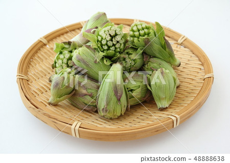 Fukinoto Fukinoto 48888638