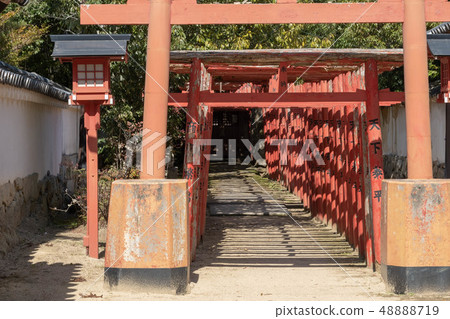 Suesha Hakunaga Daimyojin 48888719