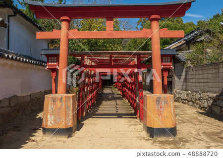 Suesha Hakunaga Daimyojin from the front Suesha Hakunaga Daimyojin from the front 48888720