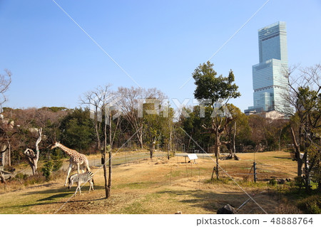 Abeno Harukas and Zoo [Osaka City Tennoji Zoo] 48888764
