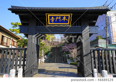 池上三月13 Honmonji Somon 48889129