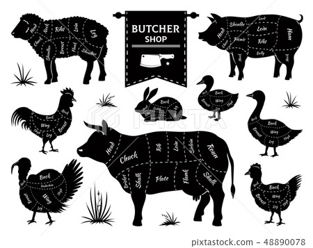 Butcher diagrams. Animal meat cuts, cow pig rabbit lamb rooster domestic animals silhouettes. Vector