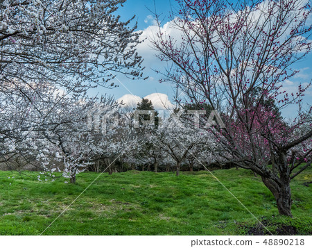 京都府綾部市巴林公園 京都府綾部市巴林公園 48890218