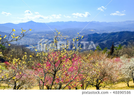 Mt. Buko and Bairin 2 Mt. Buko and Bairin 2 48890586