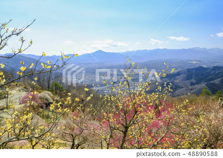 Mt. Buko和Bairin 3 48890588