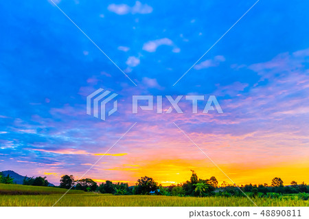 Scenery in the sunset Scenery in the sunset 48890811