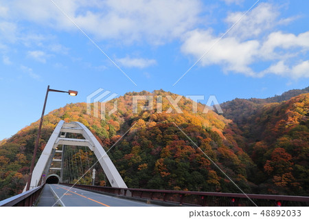 Lake Miyagase autumn leaves 48892033