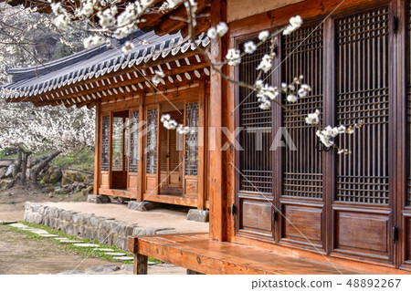 梅花，Cheongmyeongsil農場，光陽，全南 48892267