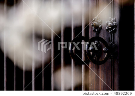 梅花，Cheongmyeongsil農場，光陽，全南 48892269