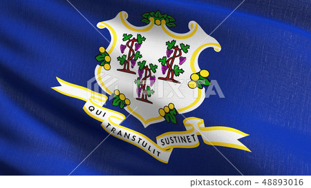 Connecticut state flag in The United States of 48893016