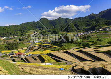 [Nagasaki Prefecture] Oniki Tanada 48893219