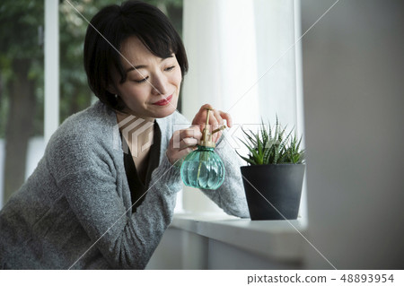 30s woman who loves succulents 48893954