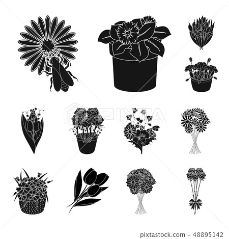 Vector design of spring and wreath logo. Set of spring and blossom stock symbol for web. Vector design of spring and wreath logo. Set of spring and blossom stock symbol for web. 48895142