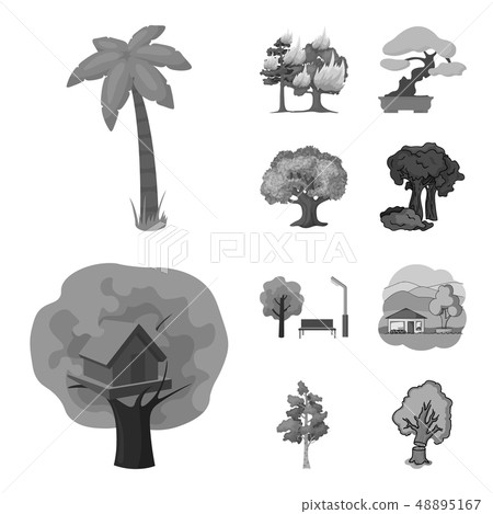 Vector illustration of tree and forest icon. Collection of tree and green stock vector illustration Vector illustration of tree and forest icon. Collection of tree and green stock vector illustration 48895167