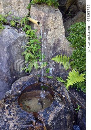 Zenji水寺 Zenji水寺 48895733