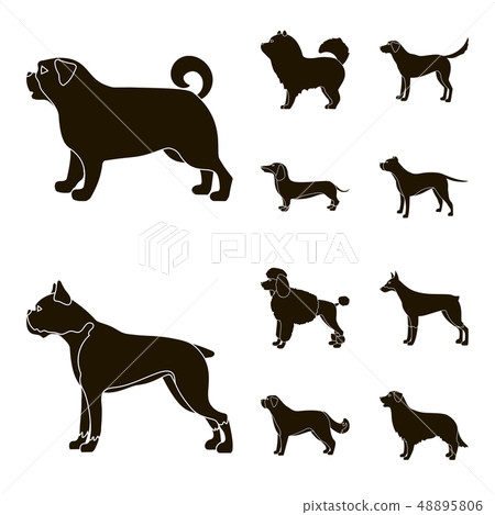Vector design of cute and puppy icon. Set of cute and animal stock vector illustration. Vector design of cute and puppy icon. Set of cute and animal stock vector illustration. 48895806