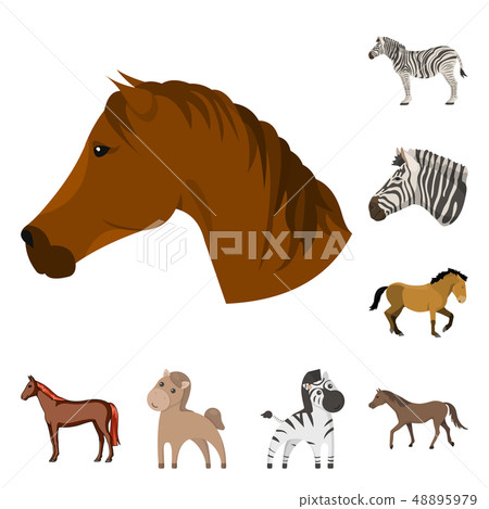 Isolated object of trot and running symbol. Collection of trot and clipart stock symbol for web. Isolated object of trot and running symbol. Collection of trot and clipart stock symbol for web. 48895979