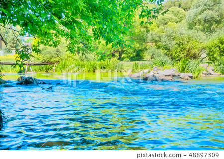 River with blue water and green trees on a bank River with blue water and green trees on a bank 48897309