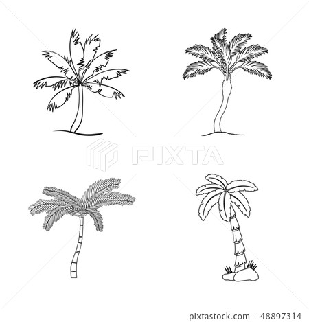 Isolated object of tree and summer symbol. Set of tree and green stock symbol for web. Isolated object of tree and summer symbol. Set of tree and green stock symbol for web. 48897314