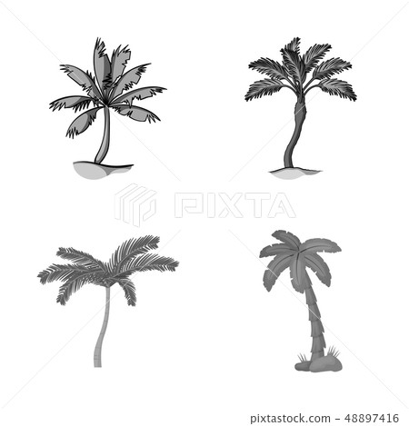 Isolated object of tree and summer sign. Set of tree and green stock symbol for web. Isolated object of tree and summer sign. Set of tree and green stock symbol for web. 48897416