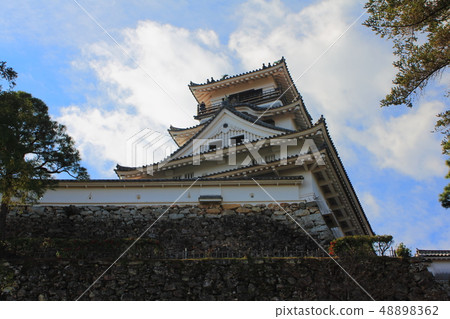 [Kochi Prefecture] Kochi Castle 48898362