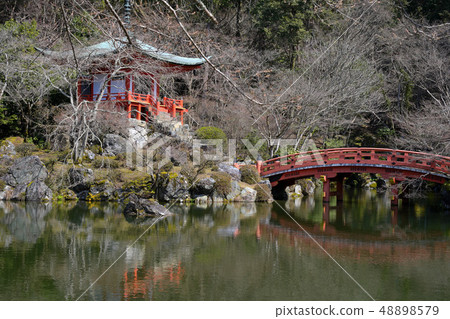 京都禪寺觀音堂 48898579