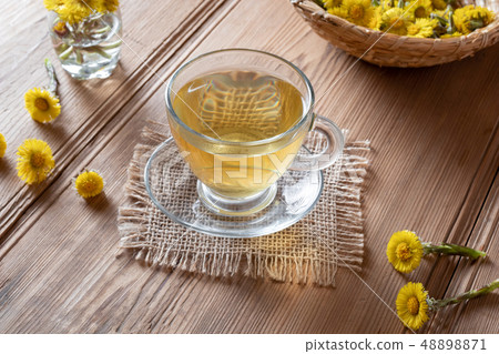 A cup of coltsfoot tea with fresh coltsfoot A cup of coltsfoot tea with fresh coltsfoot 48898871
